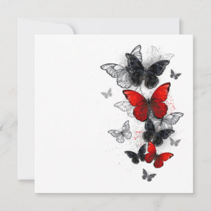 Flying Black and Red Morpho Butterflies Announcement