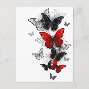 Flying Black and Red Morpho Butterflies Enclosure Card