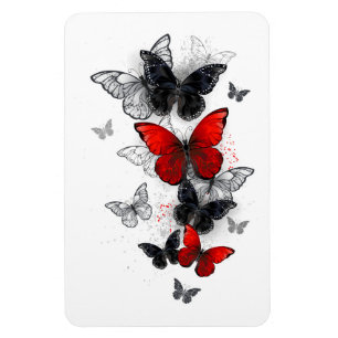 Flying Black and Red Morpho Butterflies Magnet