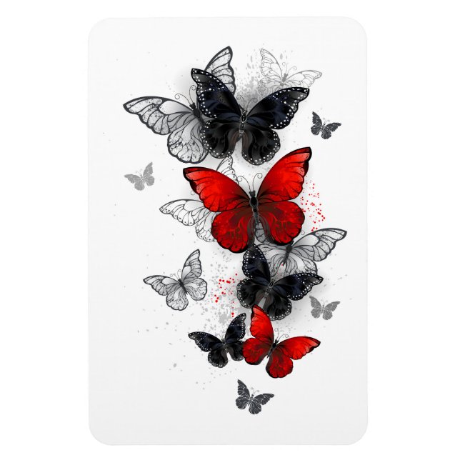 Flying Black and Red Morpho Butterflies Magnet (Vertical)