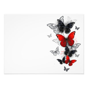 Flying Black and Red Morpho Butterflies Photo Print