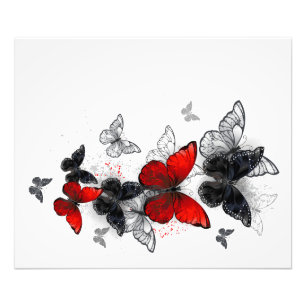 Flying Black and Red Morpho Butterflies Photo Print