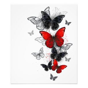 Flying Black and Red Morpho Butterflies Photo Print