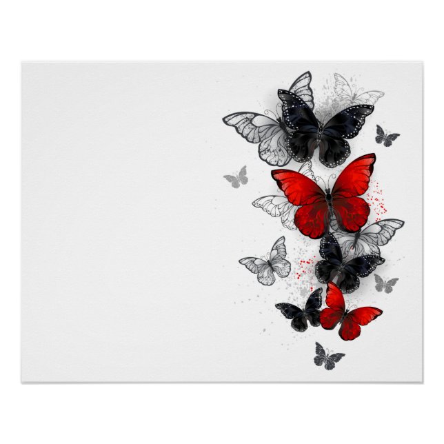 Flying Black and Red Morpho Butterflies Poster (Front)
