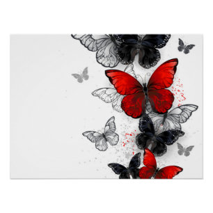 Flying Black and Red Morpho Butterflies Poster