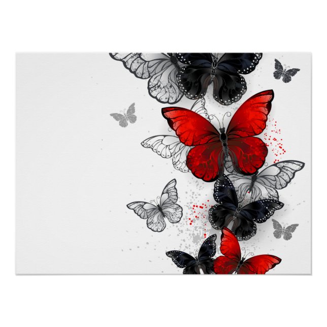 Flying Black and Red Morpho Butterflies Poster (Front)
