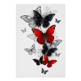 Flying Black and Red Morpho Butterflies Poster