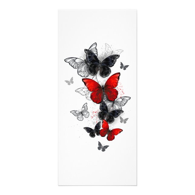 Flying Black and Red Morpho Butterflies Rack Card (Front)