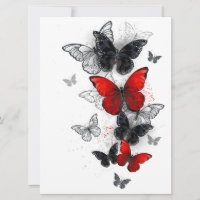 Flying Black and Red Morpho Butterflies