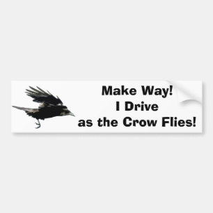 Flying Black Crow Wildlife Art Bumper Sticker