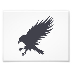 Flying black raven - Choose background color Photo Print