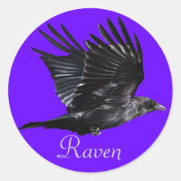 Flying Black Raven Corvid Crow-lover Photo Design
