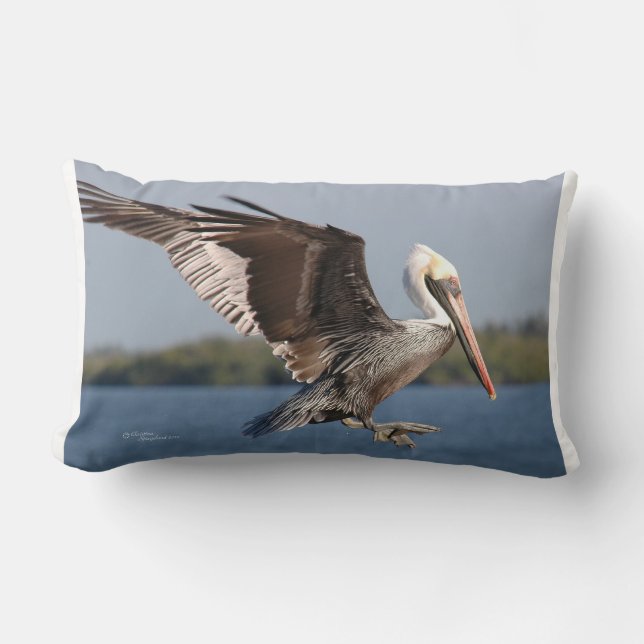 Flying brown pelican MoJo Pillow (Front)