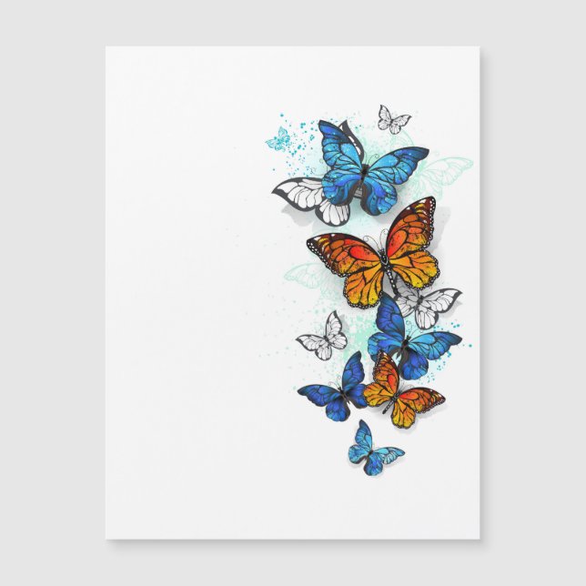 Flying Butterflies Morpho and Monarch (Front)