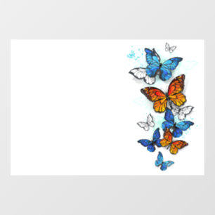 Flying Butterflies Morpho and Monarch