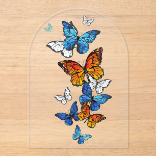 Flying Butterflies Morpho and Monarch Acrylic Invitations