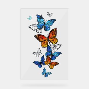 Flying Butterflies Morpho and Monarch Acrylic Sign