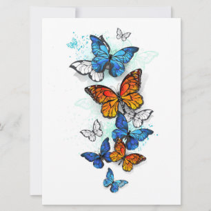 Flying Butterflies Morpho and Monarch Announcement