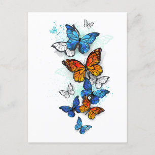 Flying Butterflies Morpho and Monarch Holiday Postcard