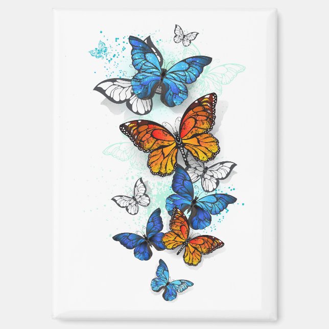 Flying Butterflies Morpho and Monarch Magnet (Front)
