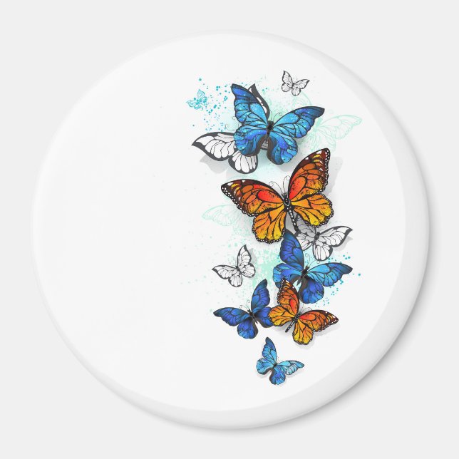 Flying Butterflies Morpho and Monarch Magnet (Front)