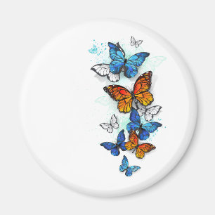 Flying Butterflies Morpho and Monarch Magnet