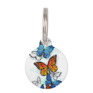 Flying Butterflies Morpho and Monarch Pet Tag