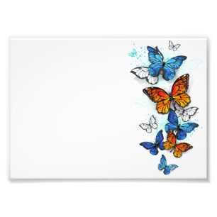 Flying Butterflies Morpho and Monarch Photo Print