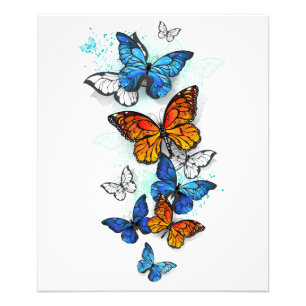 Flying Butterflies Morpho and Monarch Photo Print
