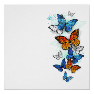 Flying Butterflies Morpho and Monarch Poster