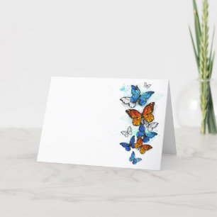 Flying Butterflies Morpho and Monarch Program