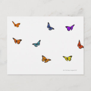 Flying butterflies postcard