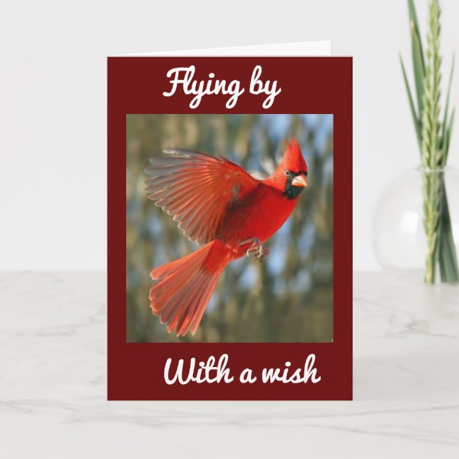 **FLYING BY TO SAY** BIRTHDAY *BEST ON EVER* CARD (Front)