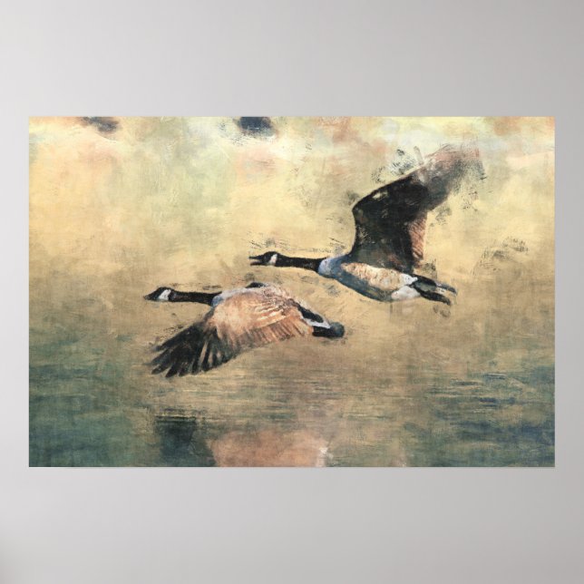 Flying Canada Geese Poster (Front)