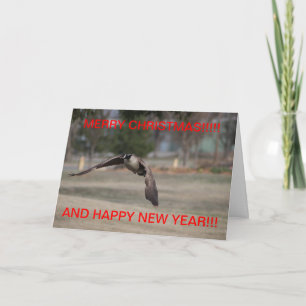 FLYING CANADIAN GOOSE Christmas Card