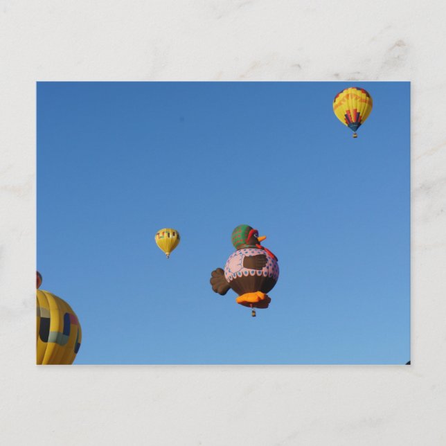 Flying Chicken Postcard (Front)
