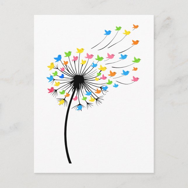 Flying colorful birds dandelion flow postcard (Front)