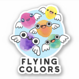 Flying Colours Funny Colourful Wings Pun 