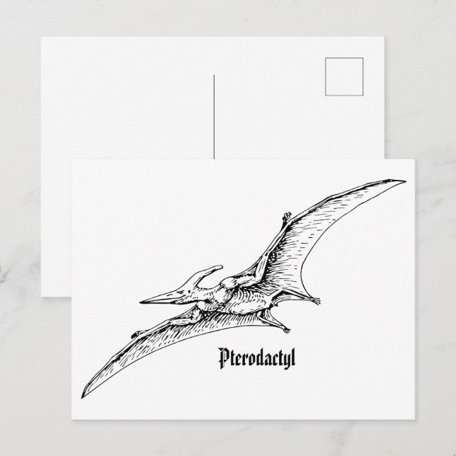 Flying dinosaur postcard (Front/Back)
