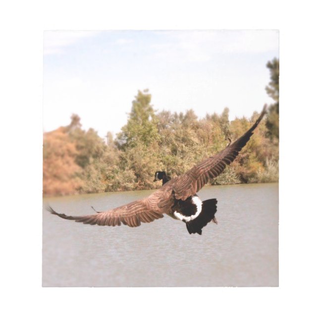 flying duck over water photograph notepad (Front)