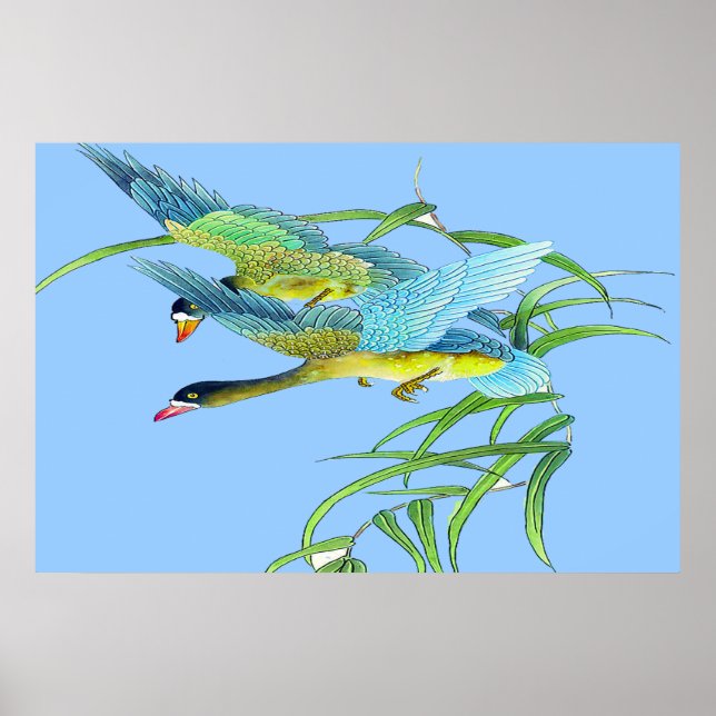 Flying Ducks poster Drawing 2 (Front)