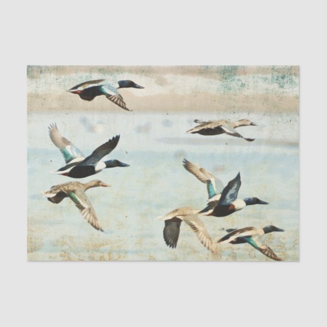 Flying Ducks Tissue Paper (Front)
