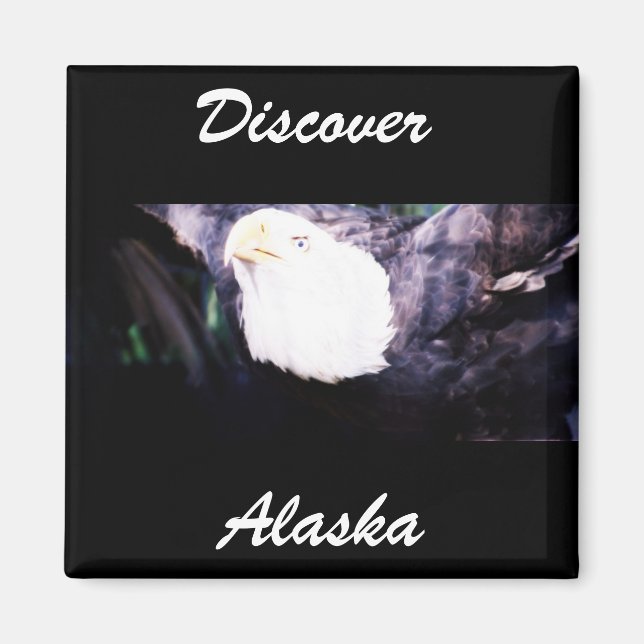 Flying Eagle Magnet (Front)