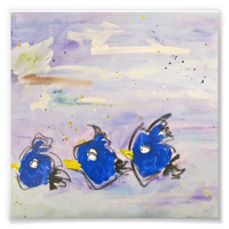 Flying East by Ashley, Sandy & Mary Photo Print