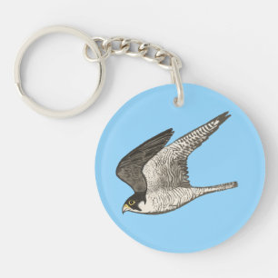 Flying Falcon Coloured Pencil art on blue Key Ring