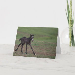 Flying Filly: Galloping to Freedom Greeting Card