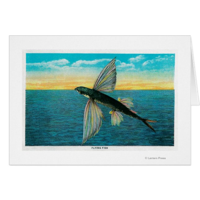 Flying Fish at Catalina Island (Front Horizontal)