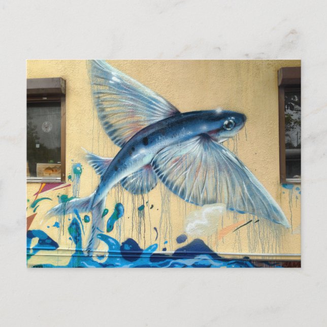 Flying Fish No.2 Postcard (Front)