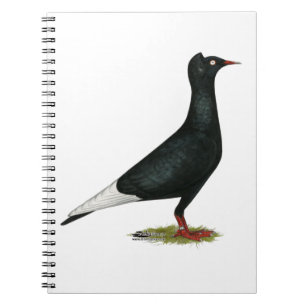 Flying Flight Black Cap Pigeon Notebook