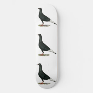 Flying Flight Black Pigeon Skateboard
